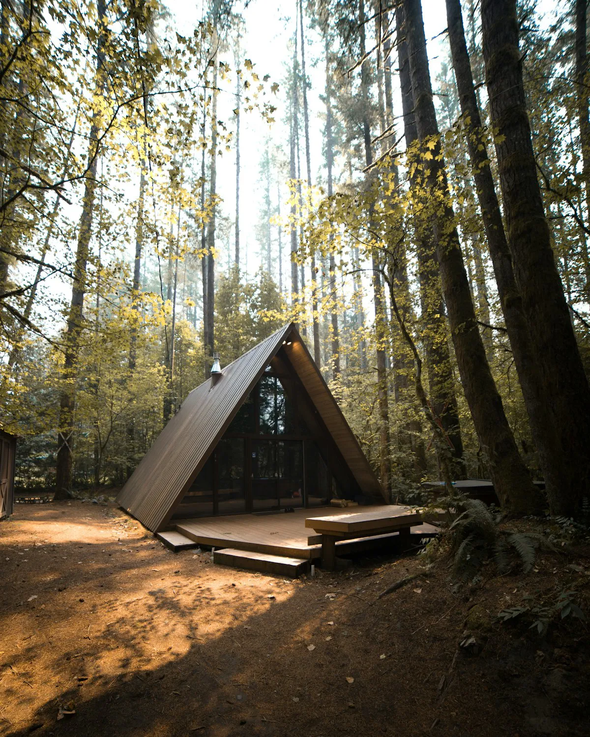 A-frame cabin in a forest