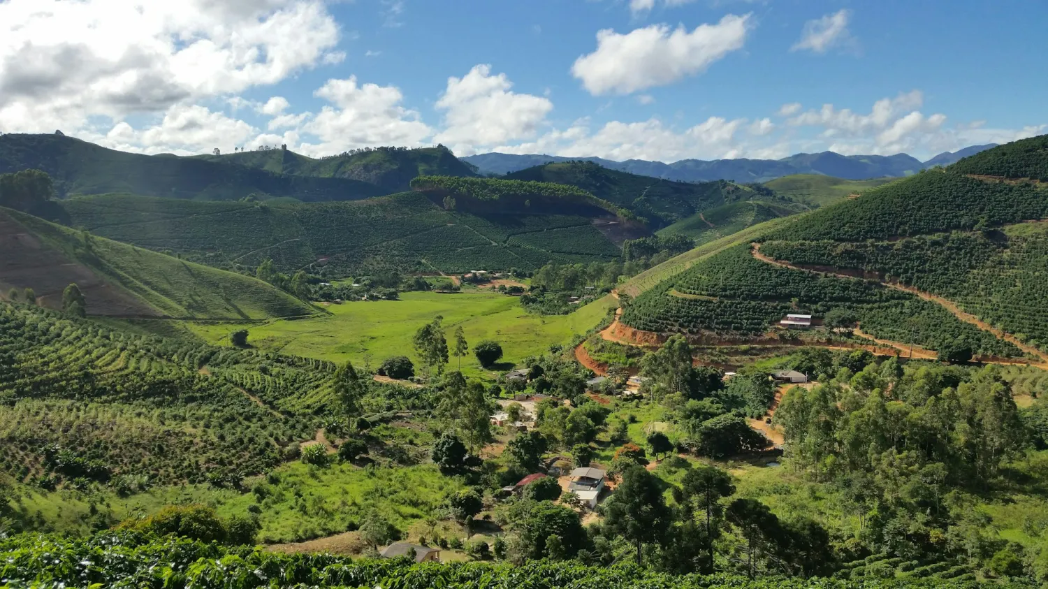 Green estate valley surrounded by hills