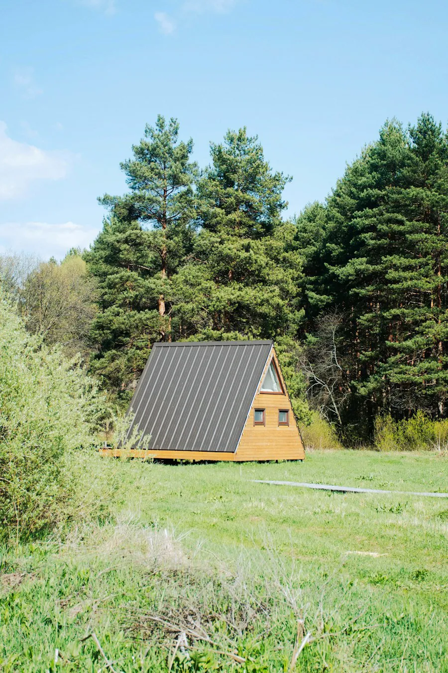 Small A-frame cottage in a green clearing