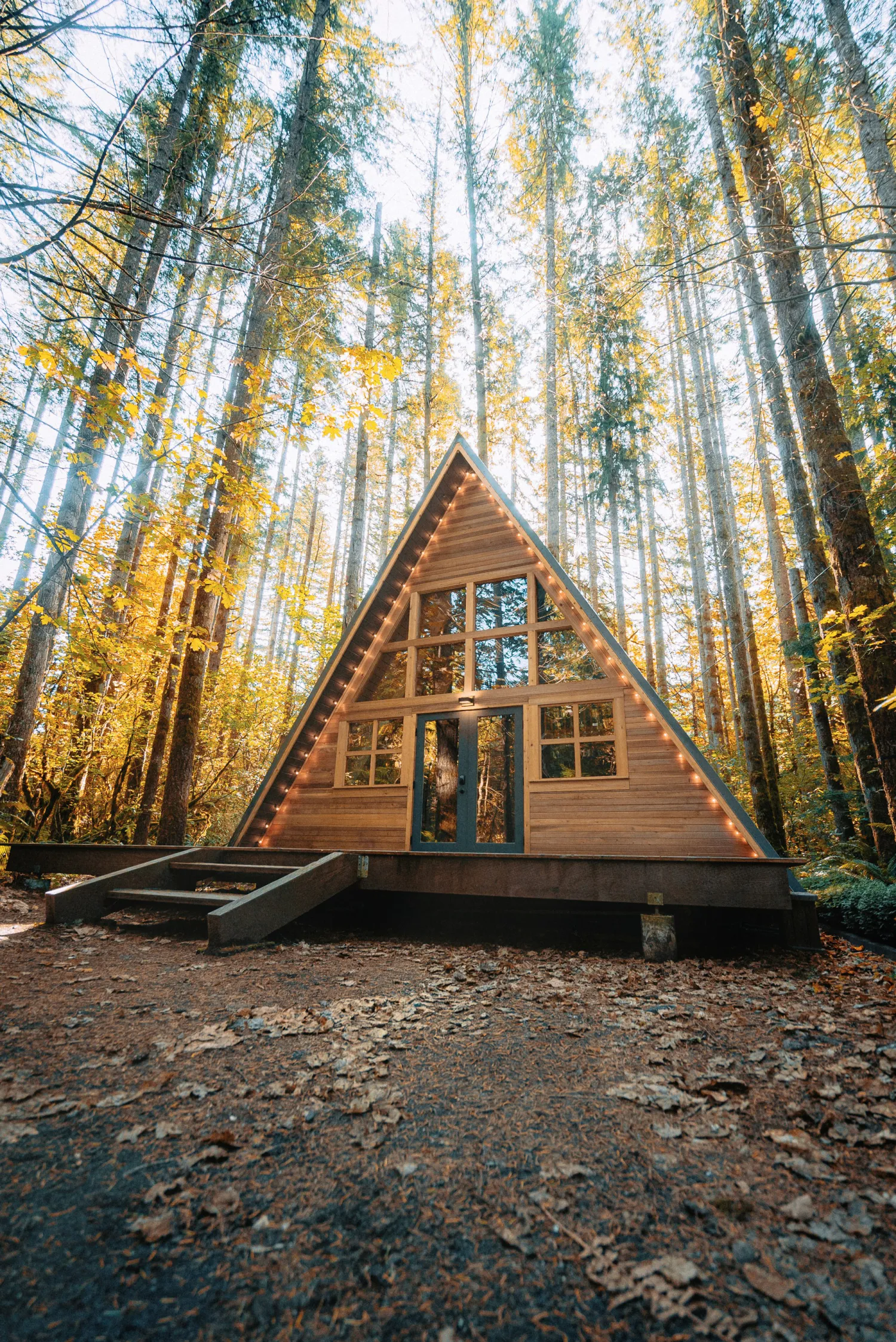 Wooden A-frame cabin among tall trees