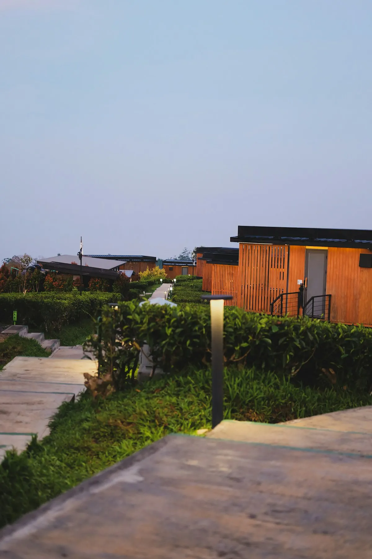 Modern wood and glass cabins at dusk